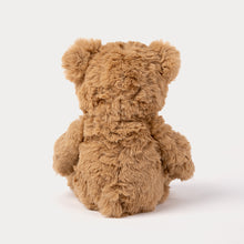 Load image into Gallery viewer, Sture Bear, Small