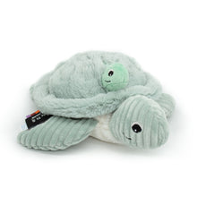 Load image into Gallery viewer, Sauvenou the Turtle Mama with Baby - Mint