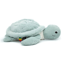 Load image into Gallery viewer, Sauvenou the Giant Turtle - Mint