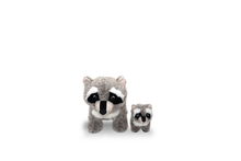 Load image into Gallery viewer, Roscoe the Raccoon and Randy