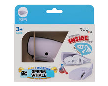 Load image into Gallery viewer, Ocean - Sperm Whale