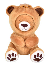 Load image into Gallery viewer, Teddy Bear