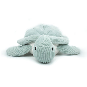 Sauvenou the Giant Turtle - Mint