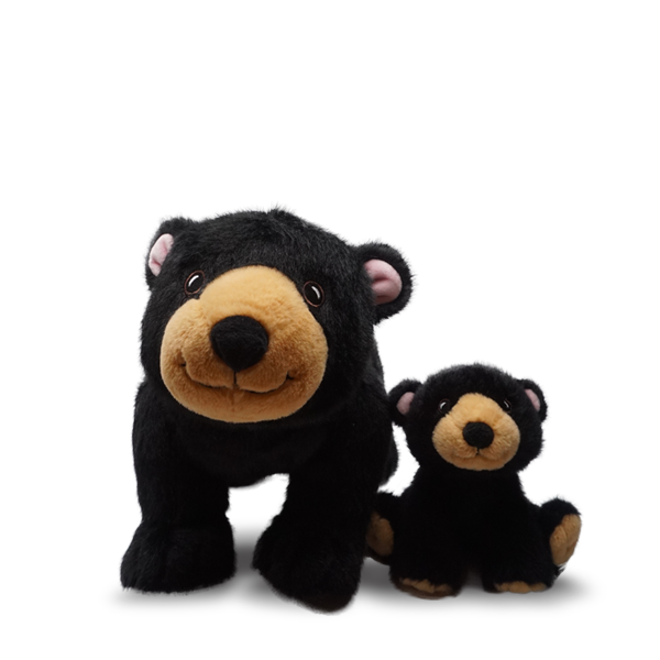 Black Bear w/Baby
