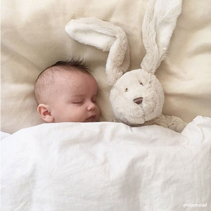 XL Teddy Cream Bunny